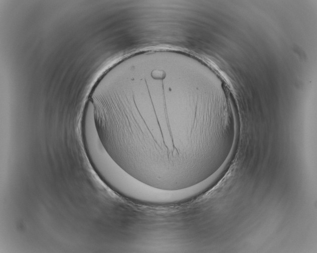 X0000111621189200908281106