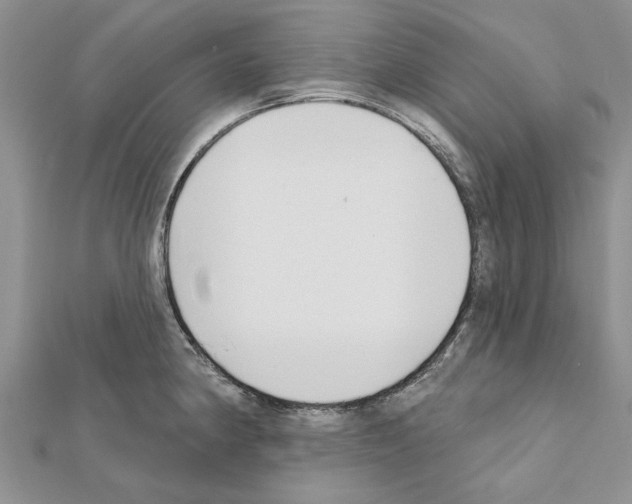 X0000111621190200908281106