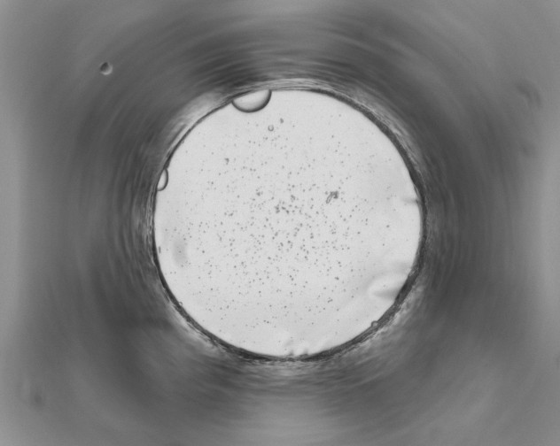 X0000111621193200908281106