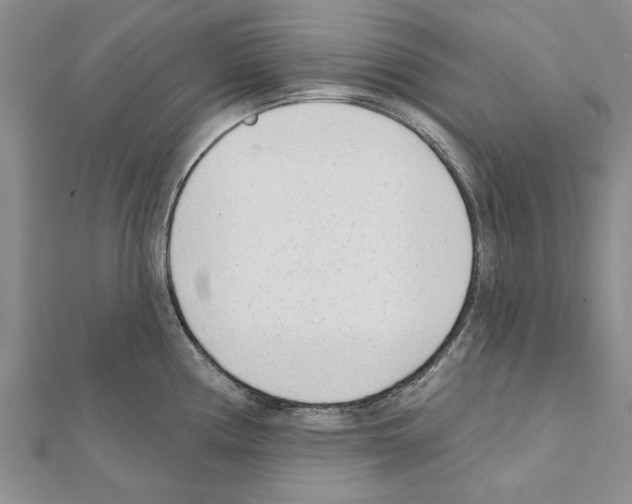 X0000111621194200908281106