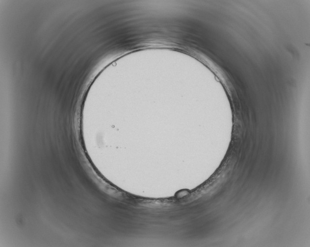 X0000111621195200908281106