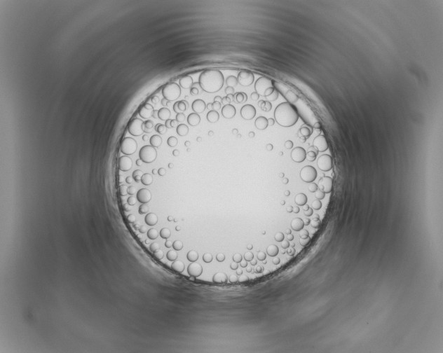 X0000111621196200908281106