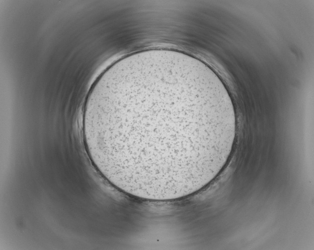 X0000111621198200908281106