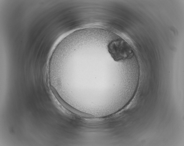 X0000111621200200908281106