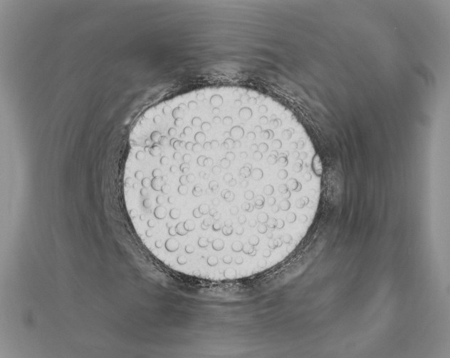 X0000111621201200908281105