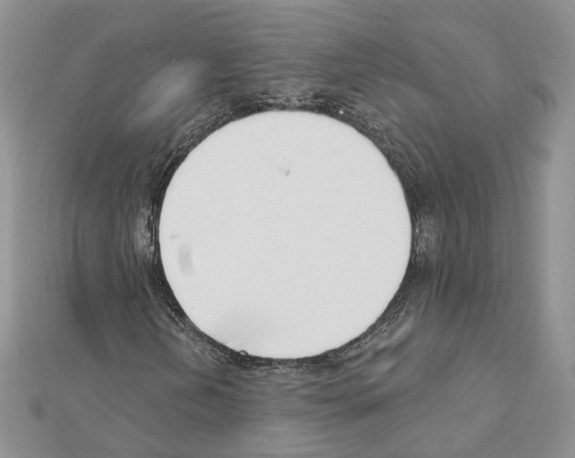 X0000111621202200908281105