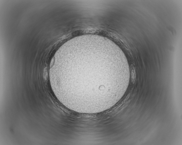 X0000111621204200908281105