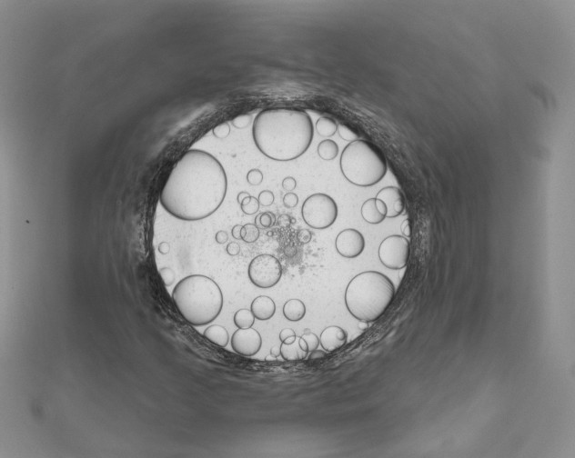 X0000111621205200908281105