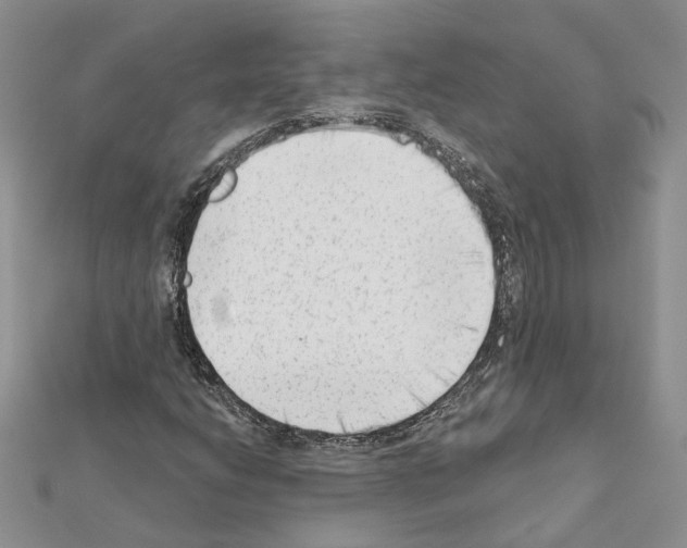 X0000111621206200908281105