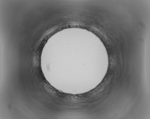 X0000111621207200908281105