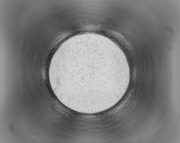 X0000111621209200908281105