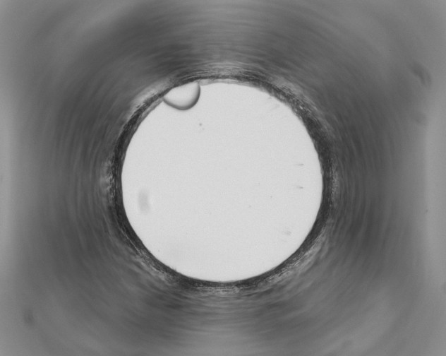 X0000111621210200908281105