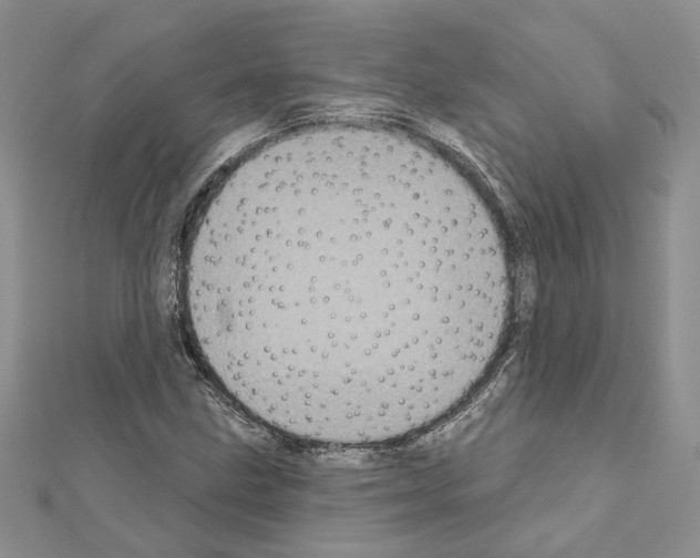 X0000111621211200908281105