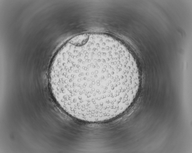 X0000111621212200908281105