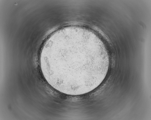 X0000111621213200908281105