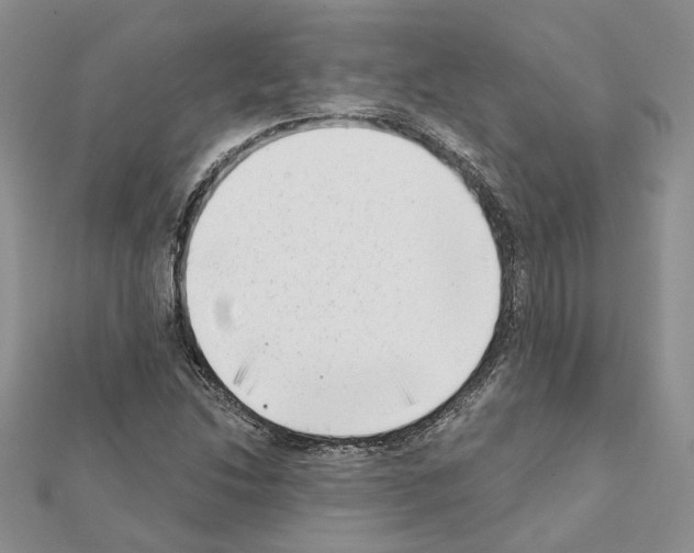 X0000111621214200908281105