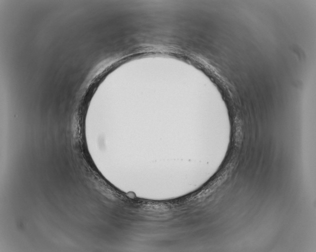 X0000111621215200908281105