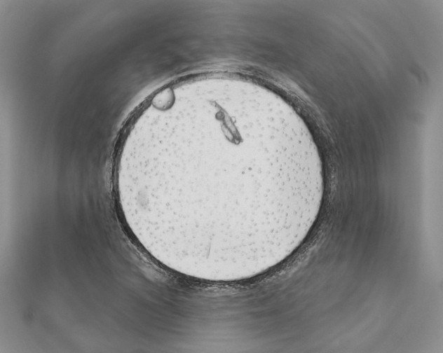 X0000111621216200908281105