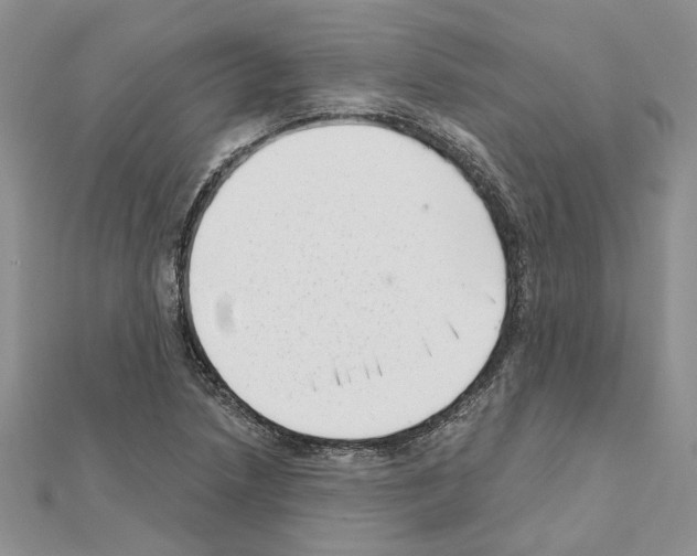 X0000111621218200908281105