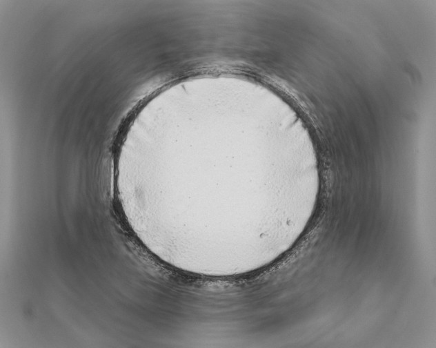 X0000111621219200908281105