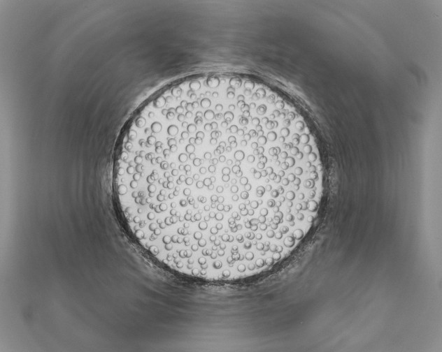 X0000111621220200908281105