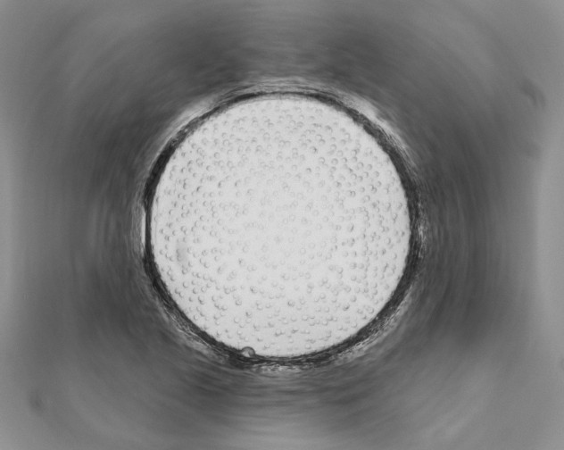 X0000111621221200908281105