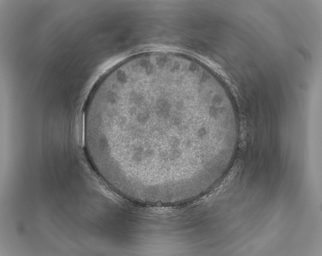 X0000111621223200908281105