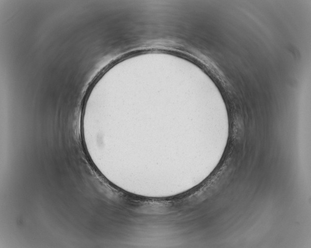 X0000111621224200908281105