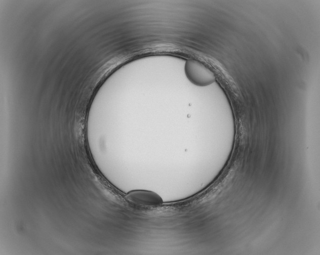 X0000111621225200908281105