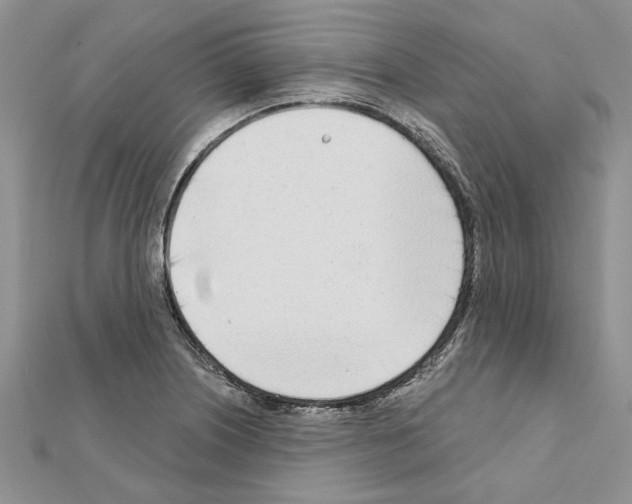 X0000111621226200908281105