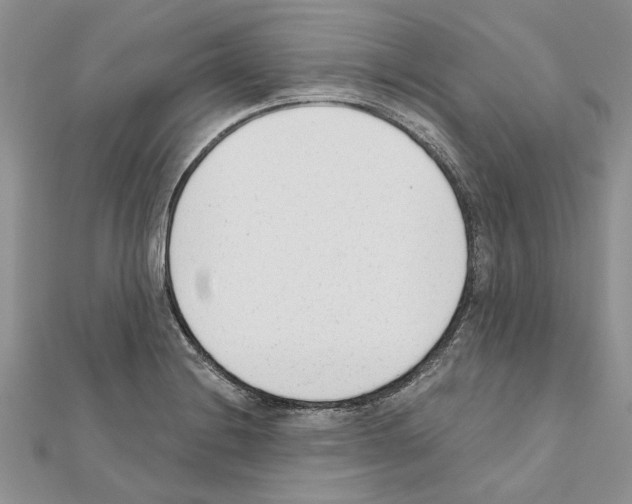 X0000111621228200908281106