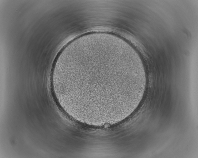 X0000111621229200908281106