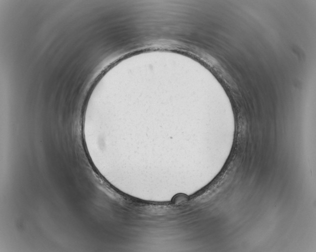 X0000111621232200908281106