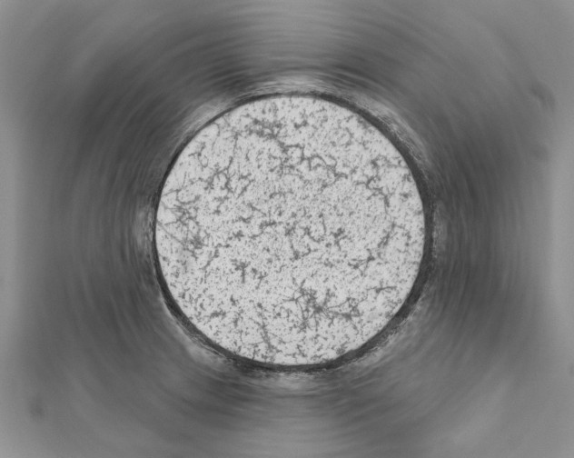 X0000111621233200908281106