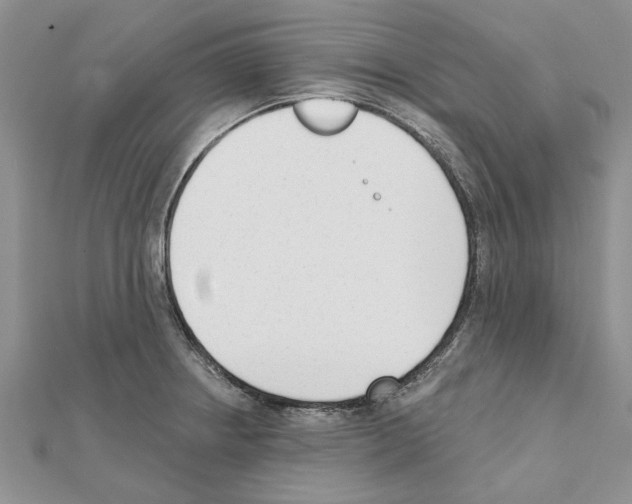 X0000111621234200908281106