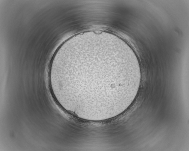 X0000111621235200908281106