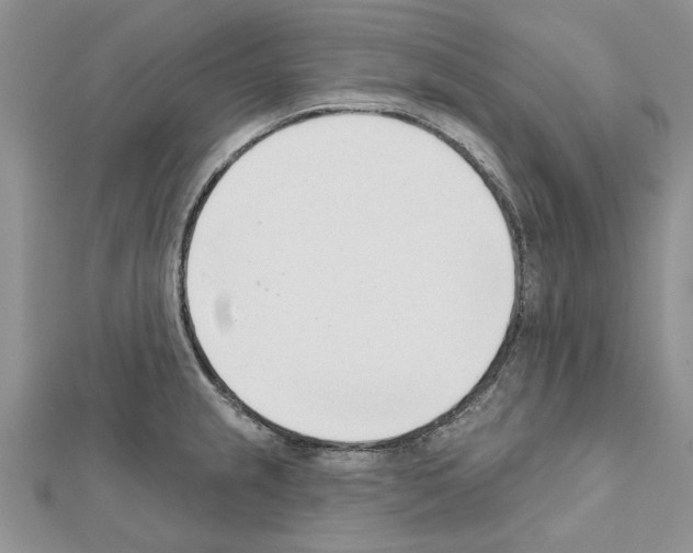 X0000111621237200908281106