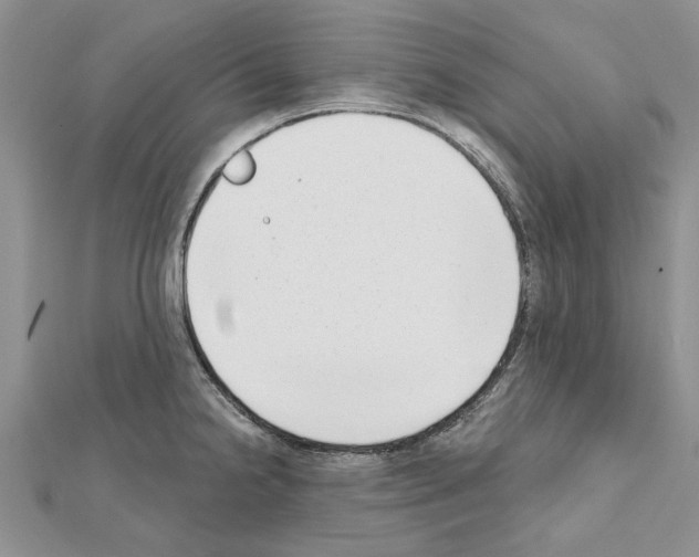 X0000111621238200908281106