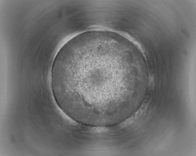 X0000111621239200908281106