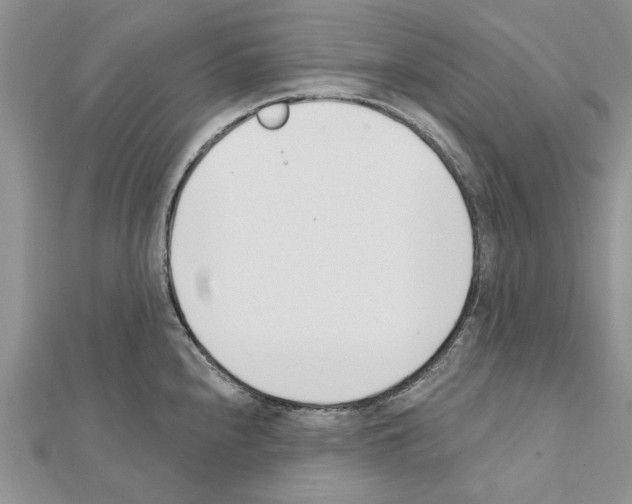 X0000111621240200908281106