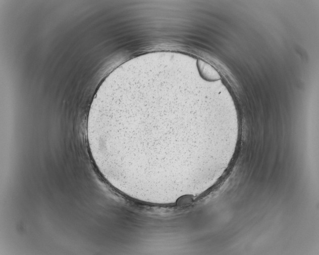 X0000111621241200908281106