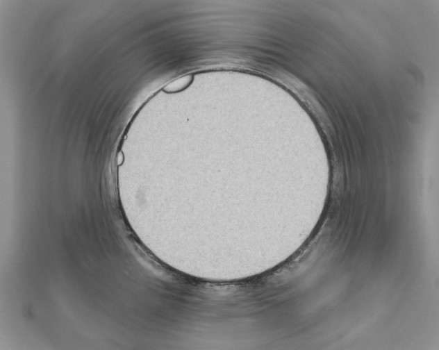 X0000111621242200908281106