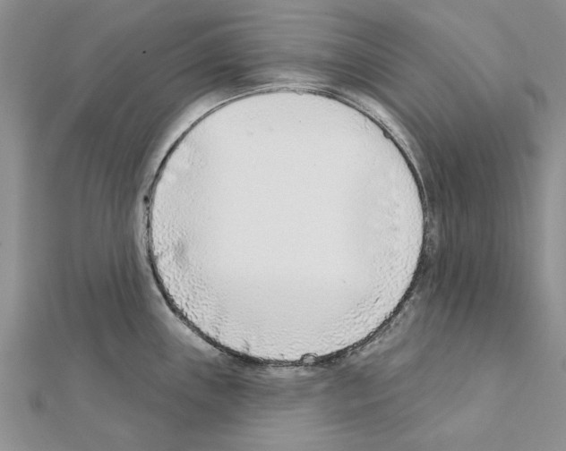 X0000111621243200908281106