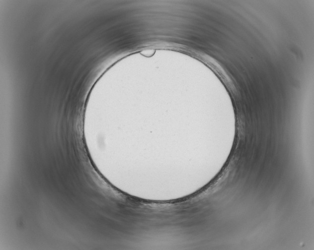 X0000111621244200908281106