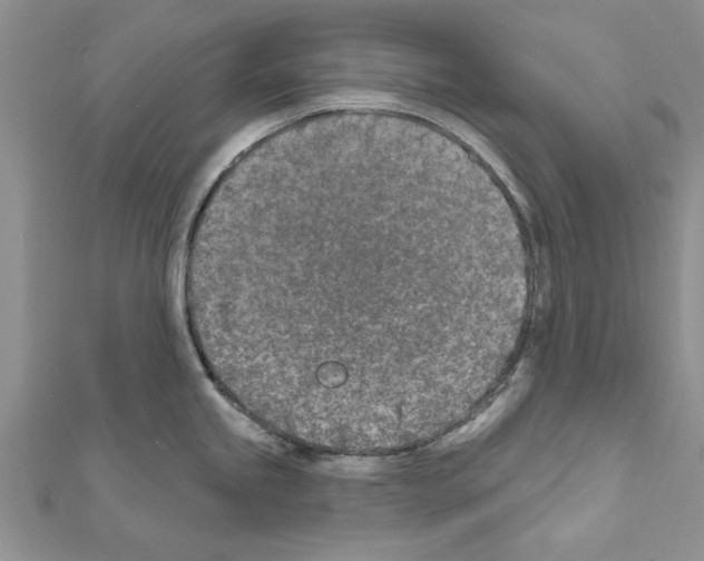 X0000111621245200908281106