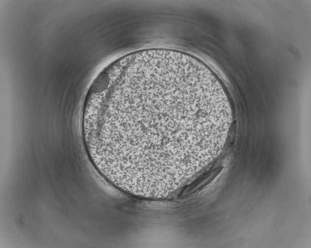 X0000111621246200908281106