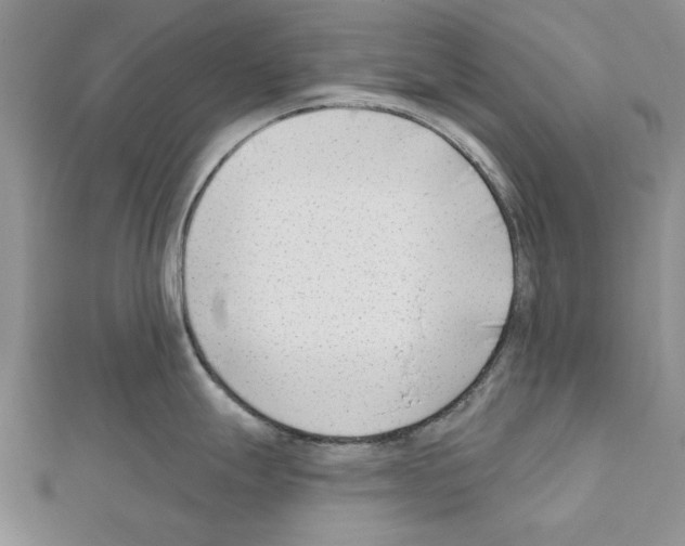 X0000111621247200908281106