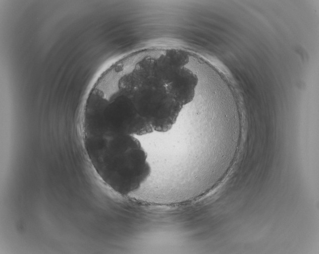 X0000111621248200908281106