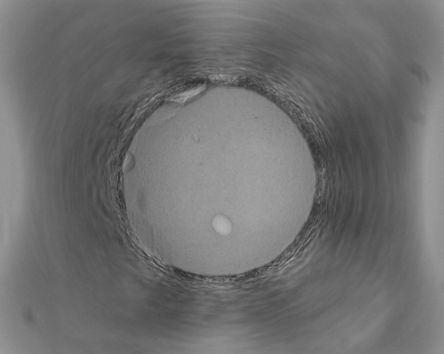 X0000111621249200908281105