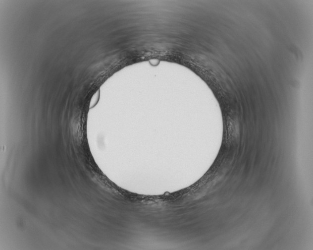 X0000111621250200908281105